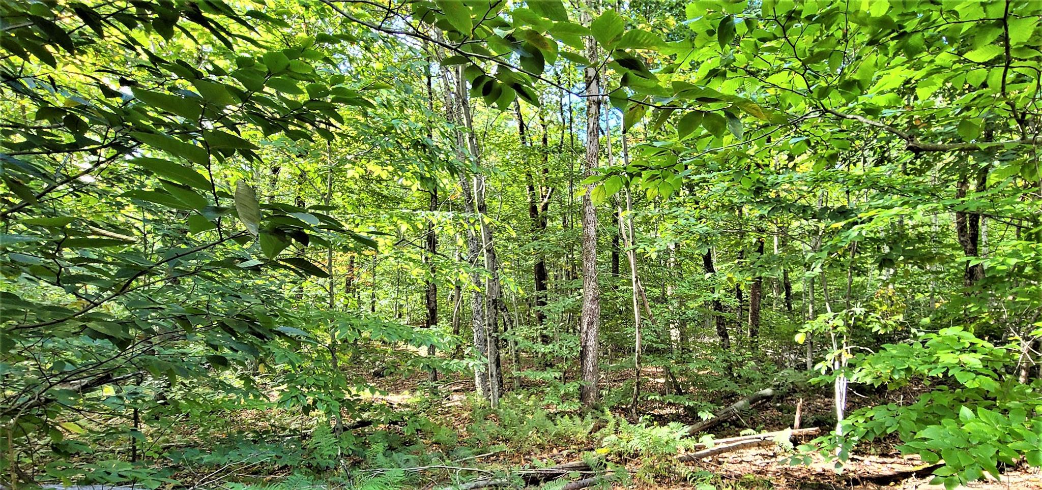 68 Schleiermacher Road, Livingston Manor, New York image 32