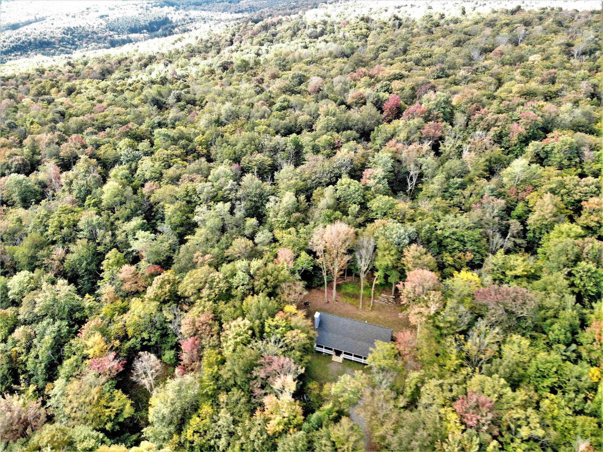 68 Schleiermacher Road, Livingston Manor, New York image 5