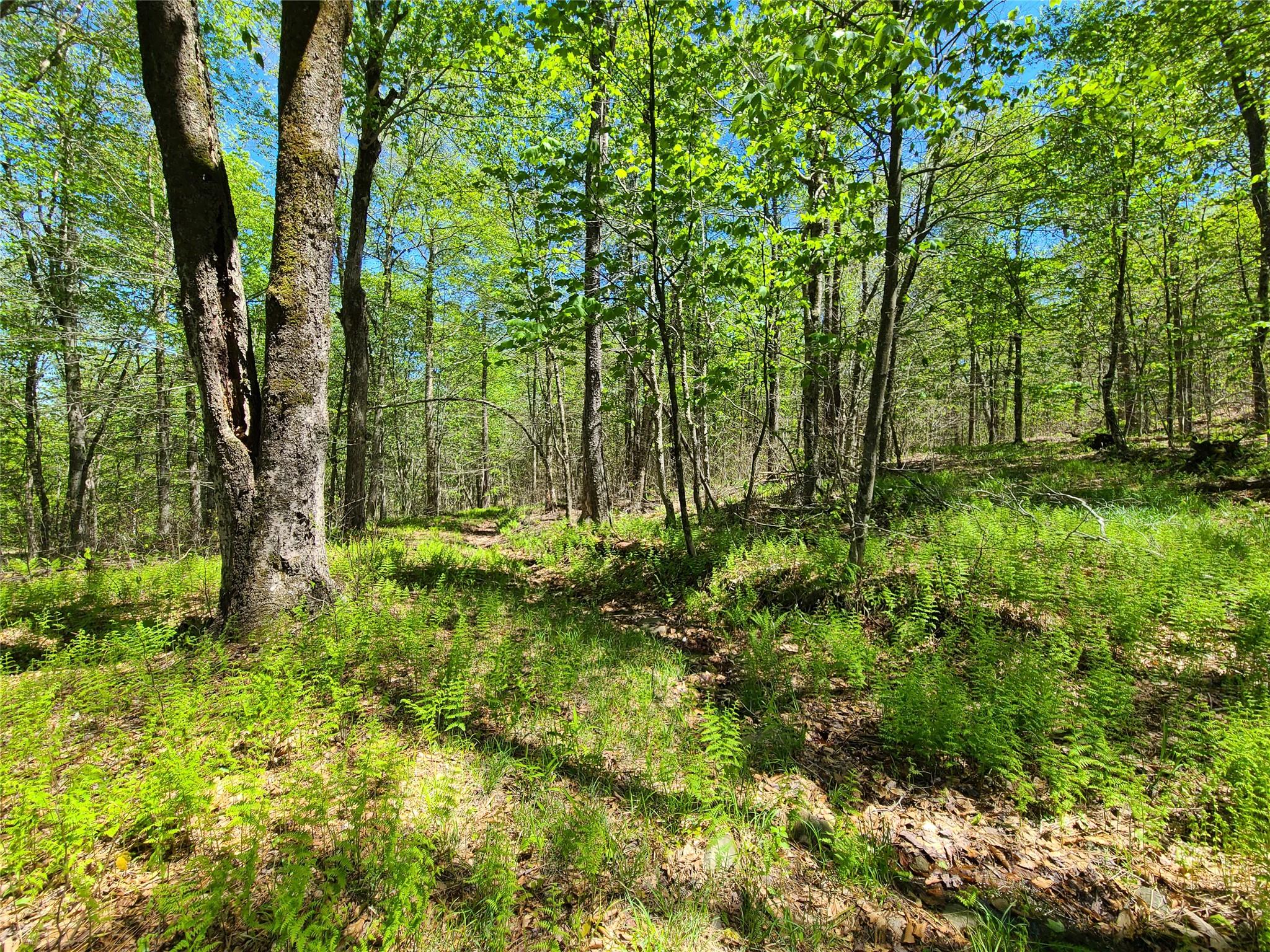68 Schleiermacher Road, Livingston Manor, New York image 35