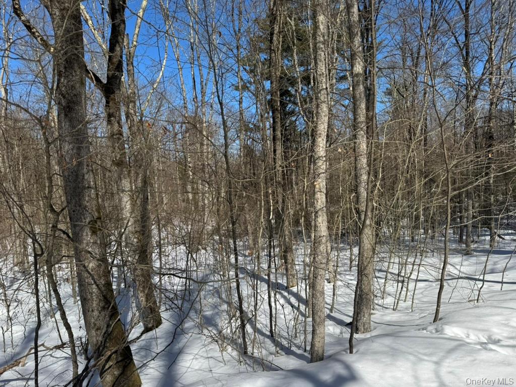 Lot 32 Woodstone Trail