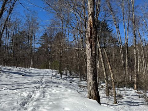 Lot 32 Woodstone Trail Bethel NY 12720