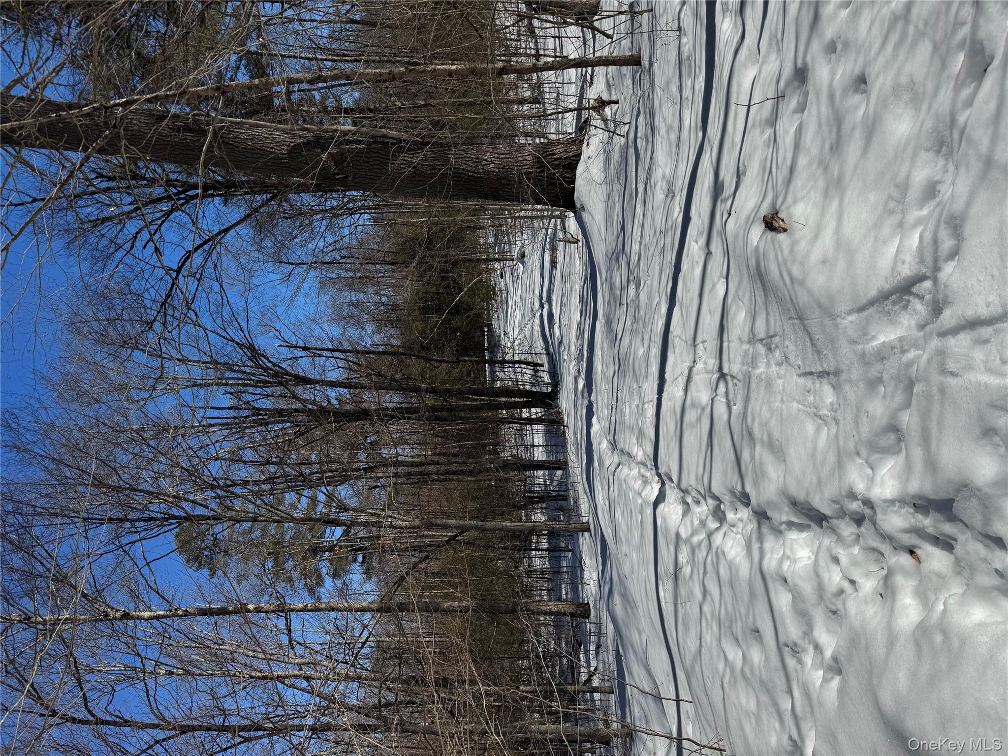 Lot 32 Woodstone Trail