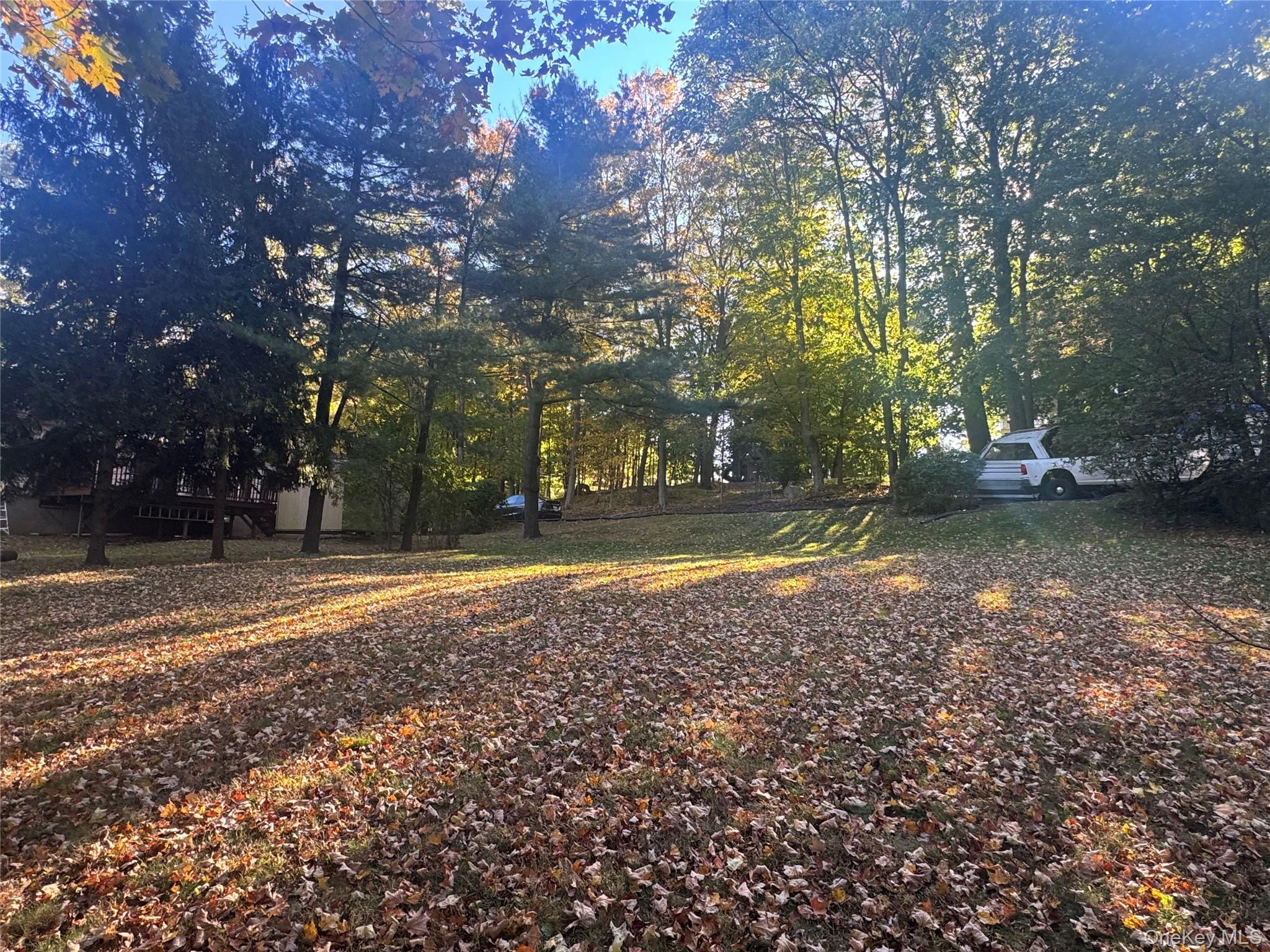 Laurel Hill Road