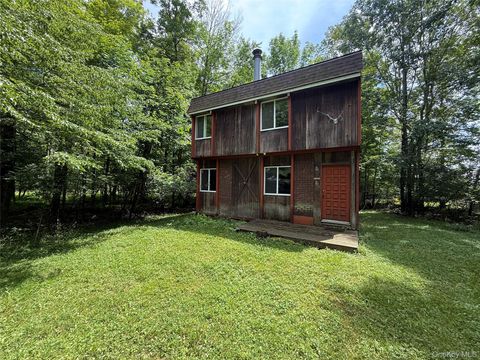 Homes For Sale - 9 Lake Drive<br/> Sullivan County, Parksville, NY 12768