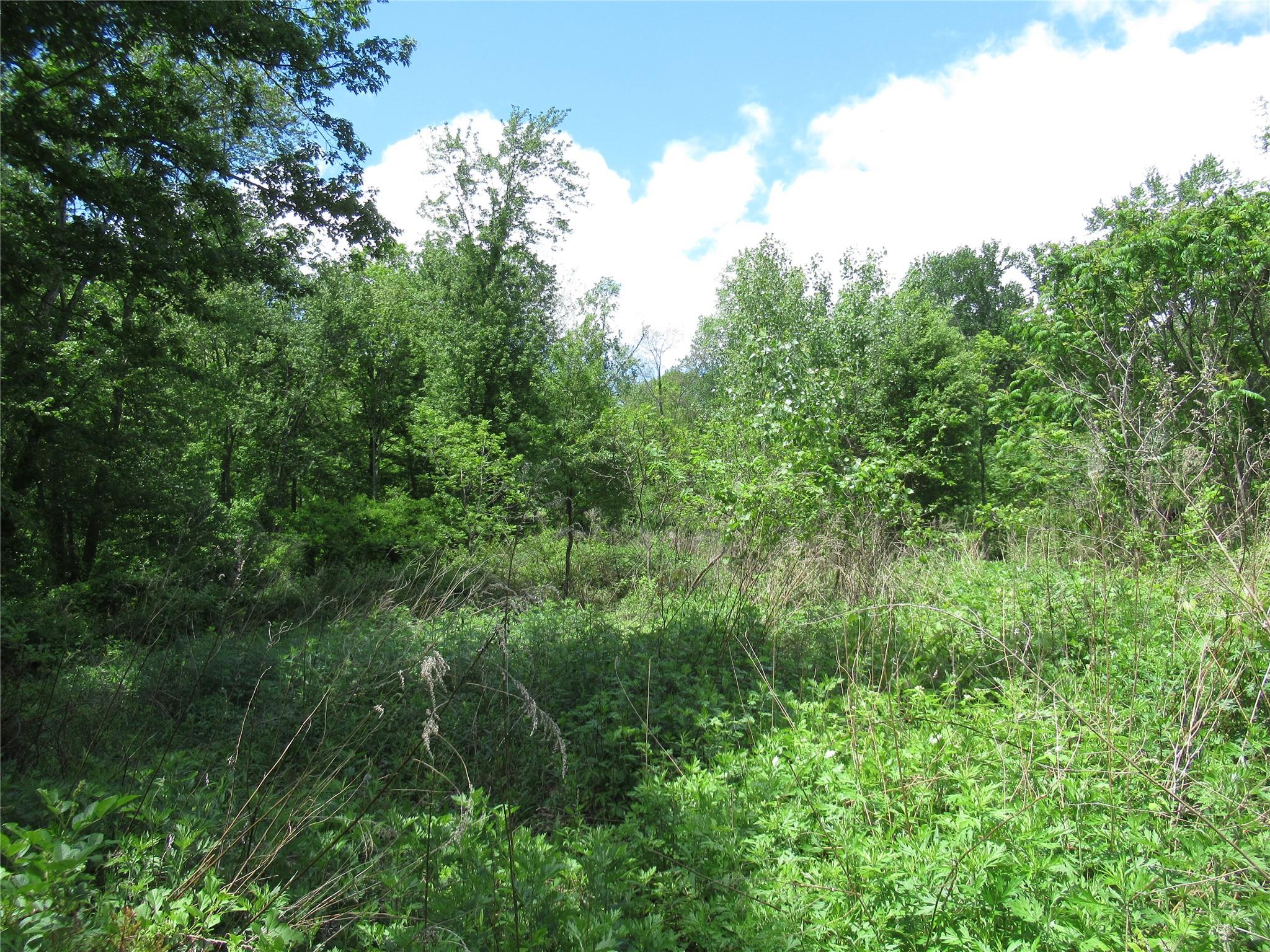Overlook Drive, Pawling, New York image 7