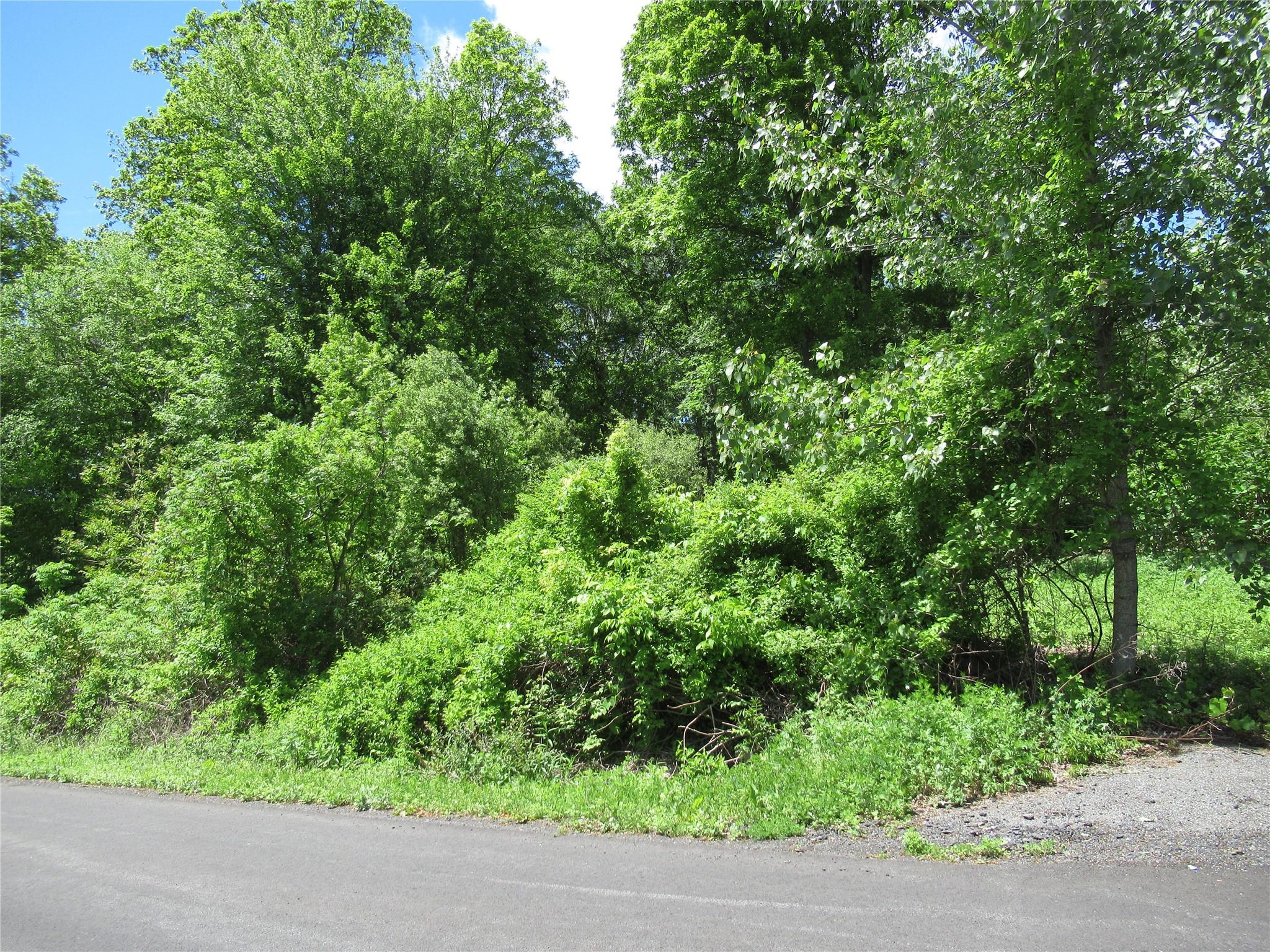 Overlook Drive, Pawling, New York image 5
