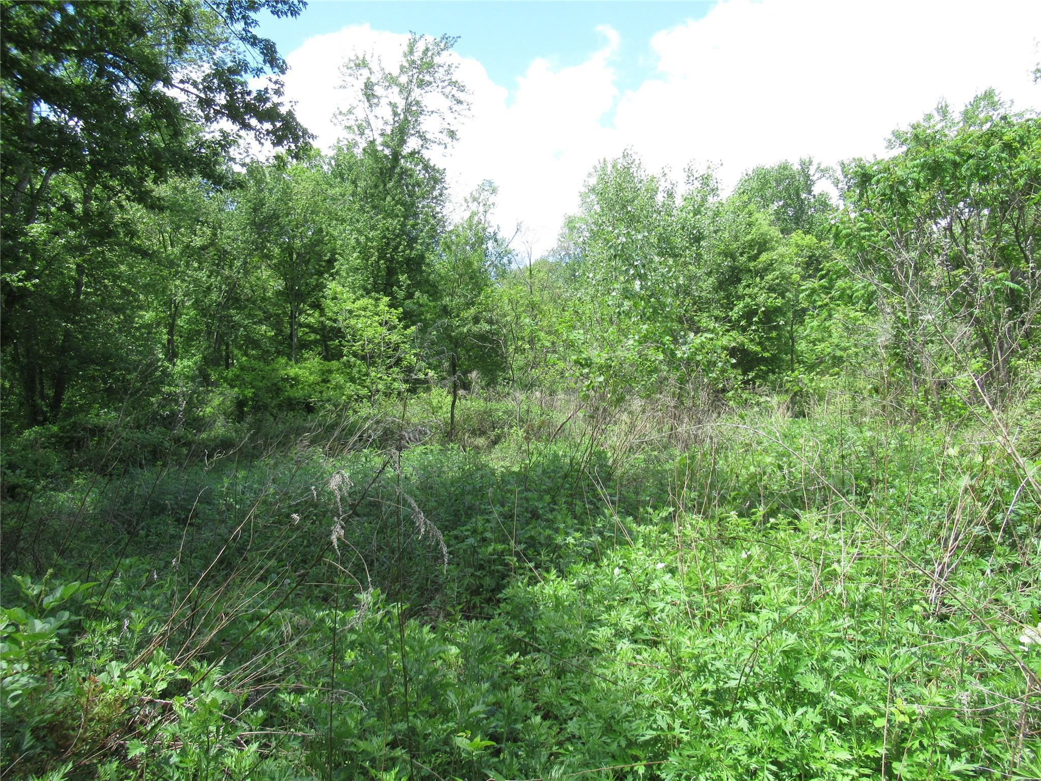 Overlook Drive, Pawling, New York image 17