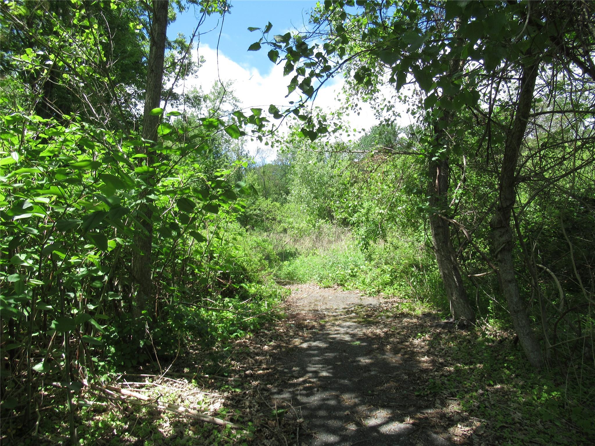 Overlook Drive, Pawling, New York image 6