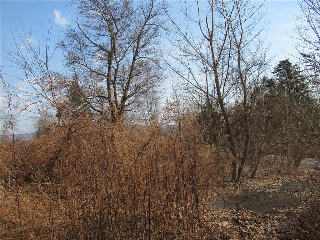 Overlook Drive, Pawling, New York image 5
