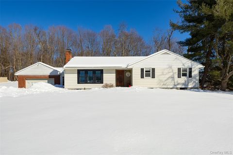 Homes For Sale - 29 Mcallister Drive<br/> Pleasant Valley, NY 12569