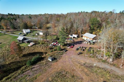 41 Martin Lane Mongaup Valley NY 12762