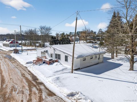 Homes For Sale - 3 Cooper Drive<br/> Sullivan County, Kauneonga Lake, NY 12720