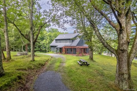 Homes For Sale - 405 Vista Maria Road Rd<br/> Cragsmoor, NY 12420