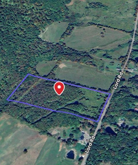 Vacant Land For Sale - 94 Lord Road<br/> Deposit, NY 13813