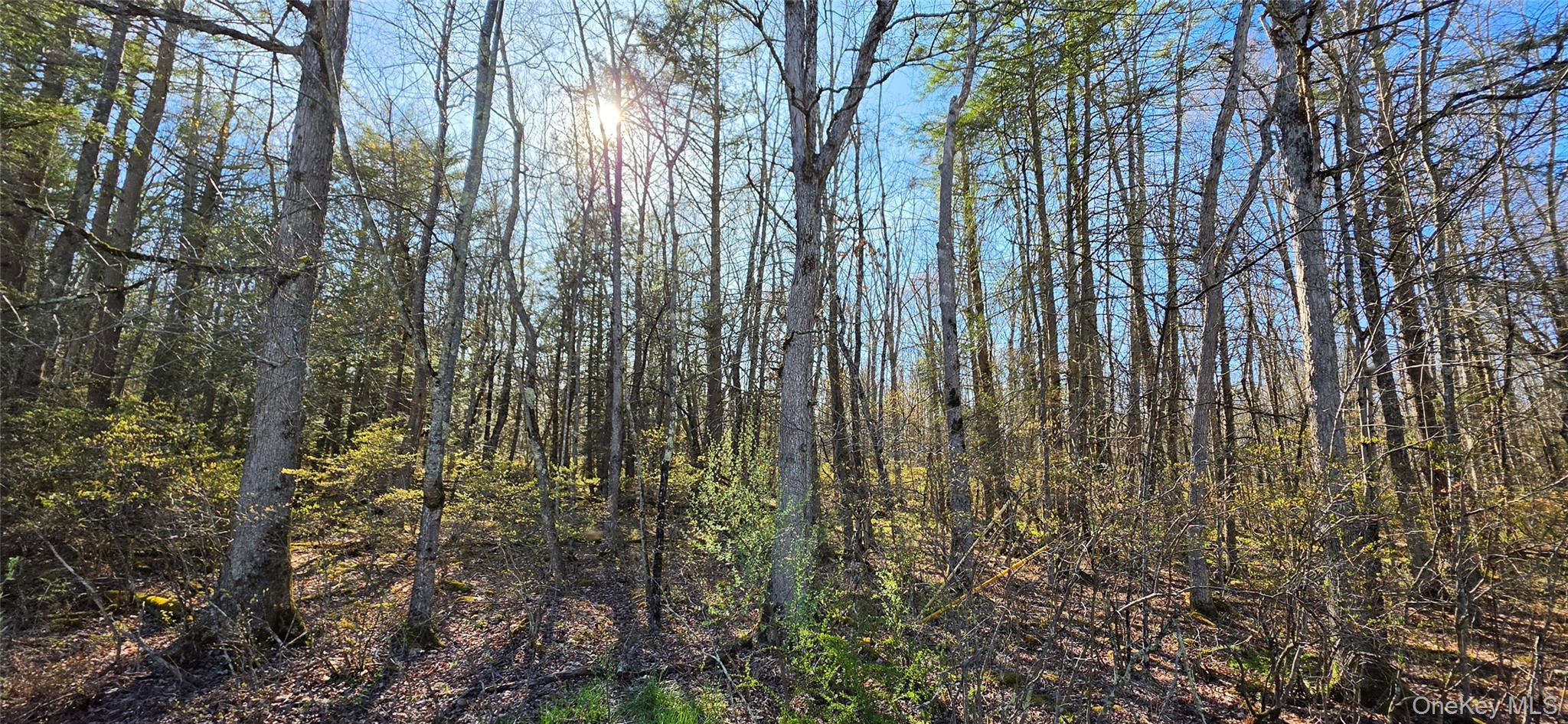 Lot 70 Cushetunk Drive
