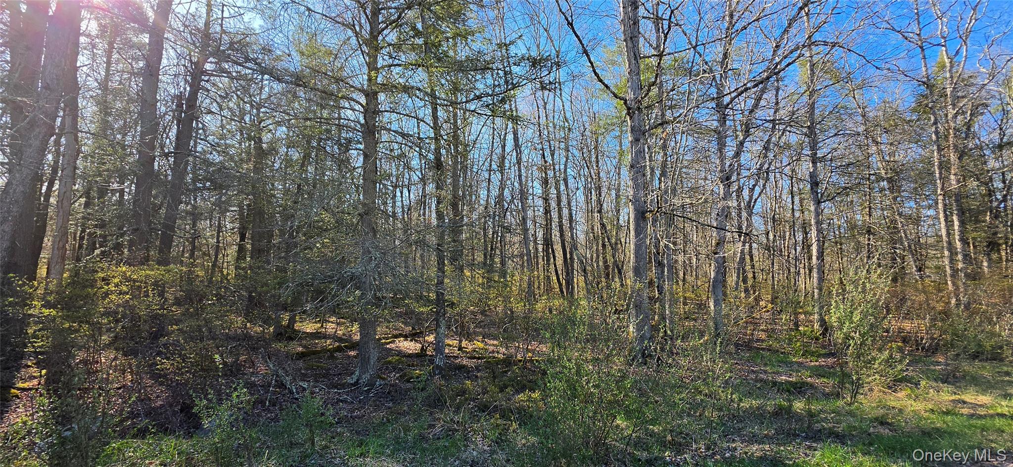 Lot 70 Cushetunk Drive