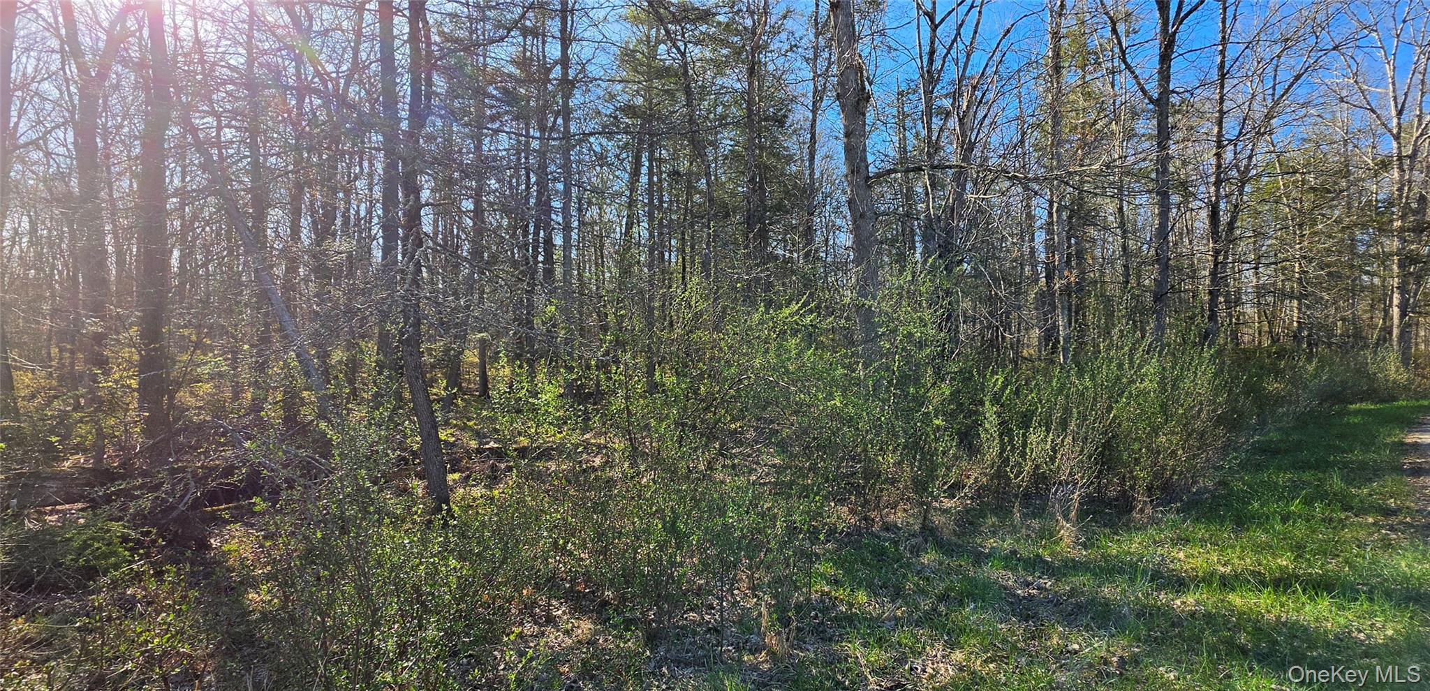 Lot 70 Cushetunk Drive