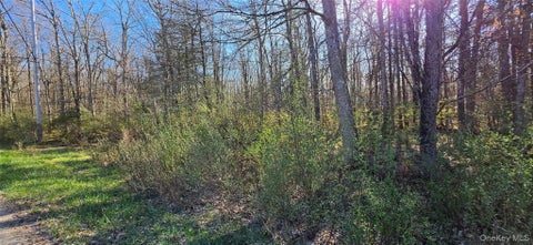 Vacant Land For Sale - LOT 70 Cushetunk Drive<br/> Cochecton, NY 12726
