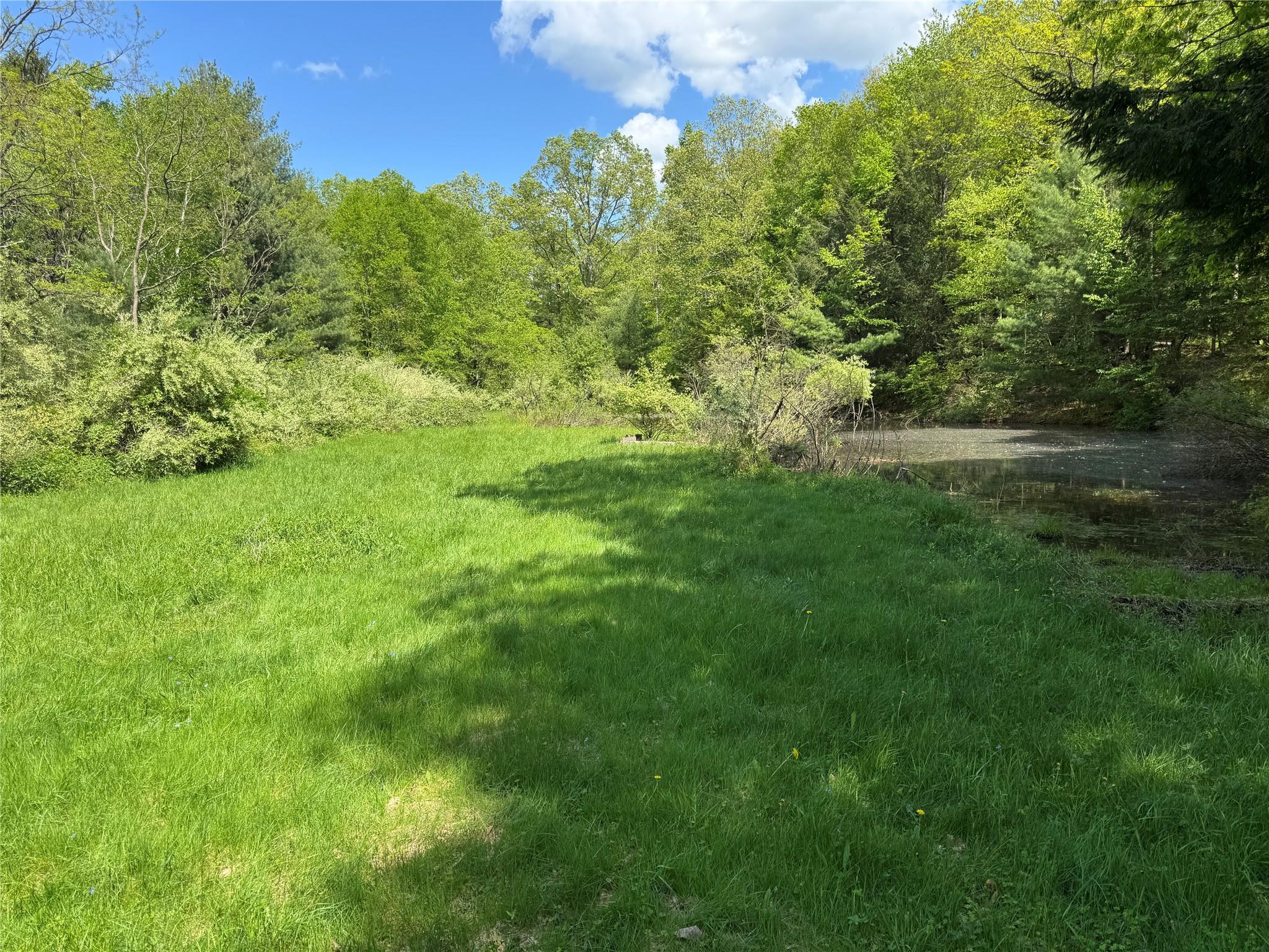 632 New Turnpike Road, Cochecton, New York image 3