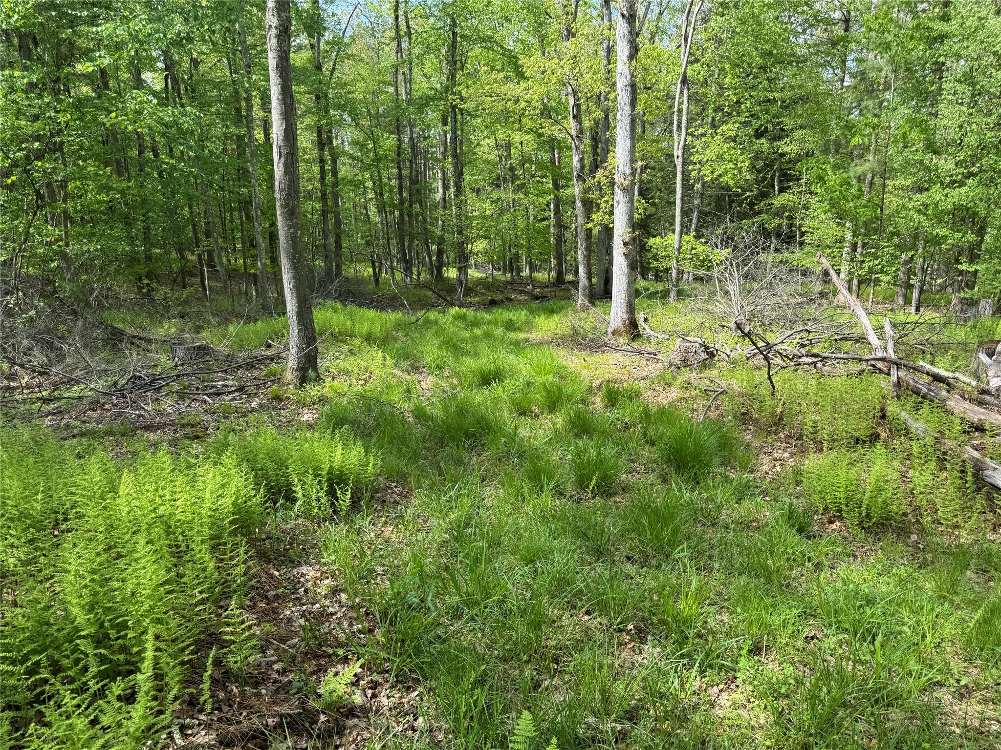 632 New Turnpike Road, Cochecton, New York image 23