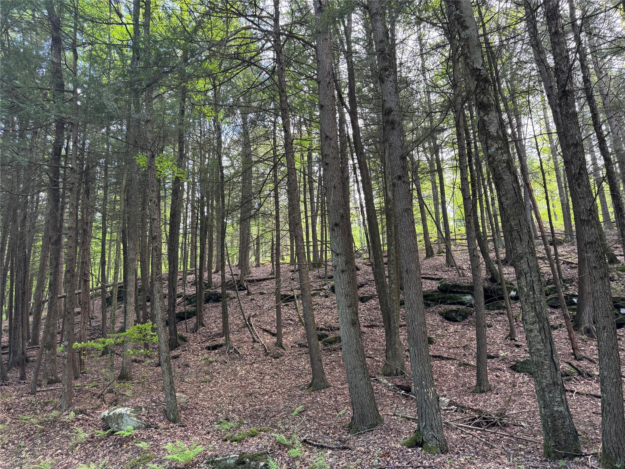 632 New Turnpike Road, Cochecton, New York image 25