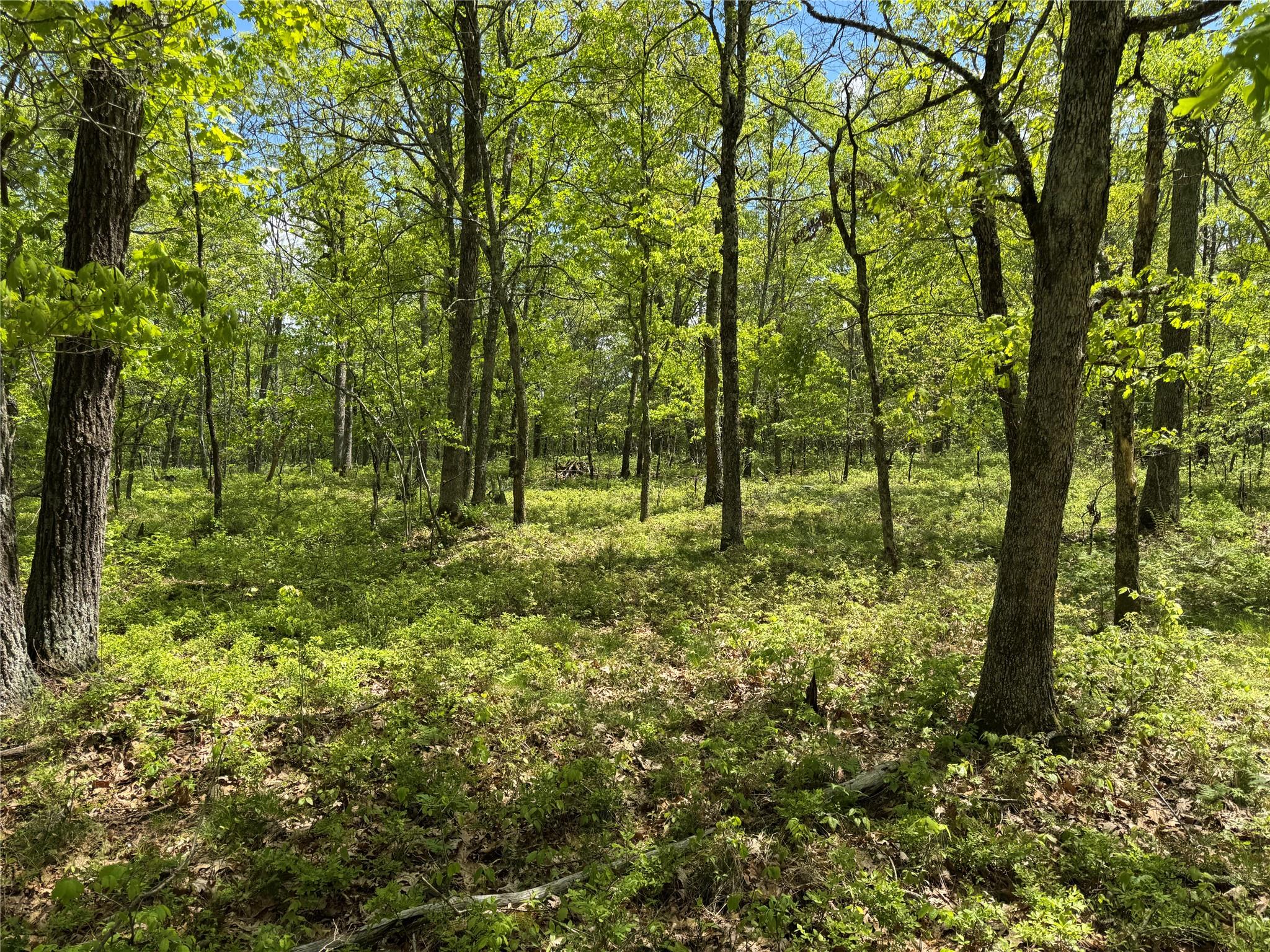 632 New Turnpike Road, Cochecton, New York image 22