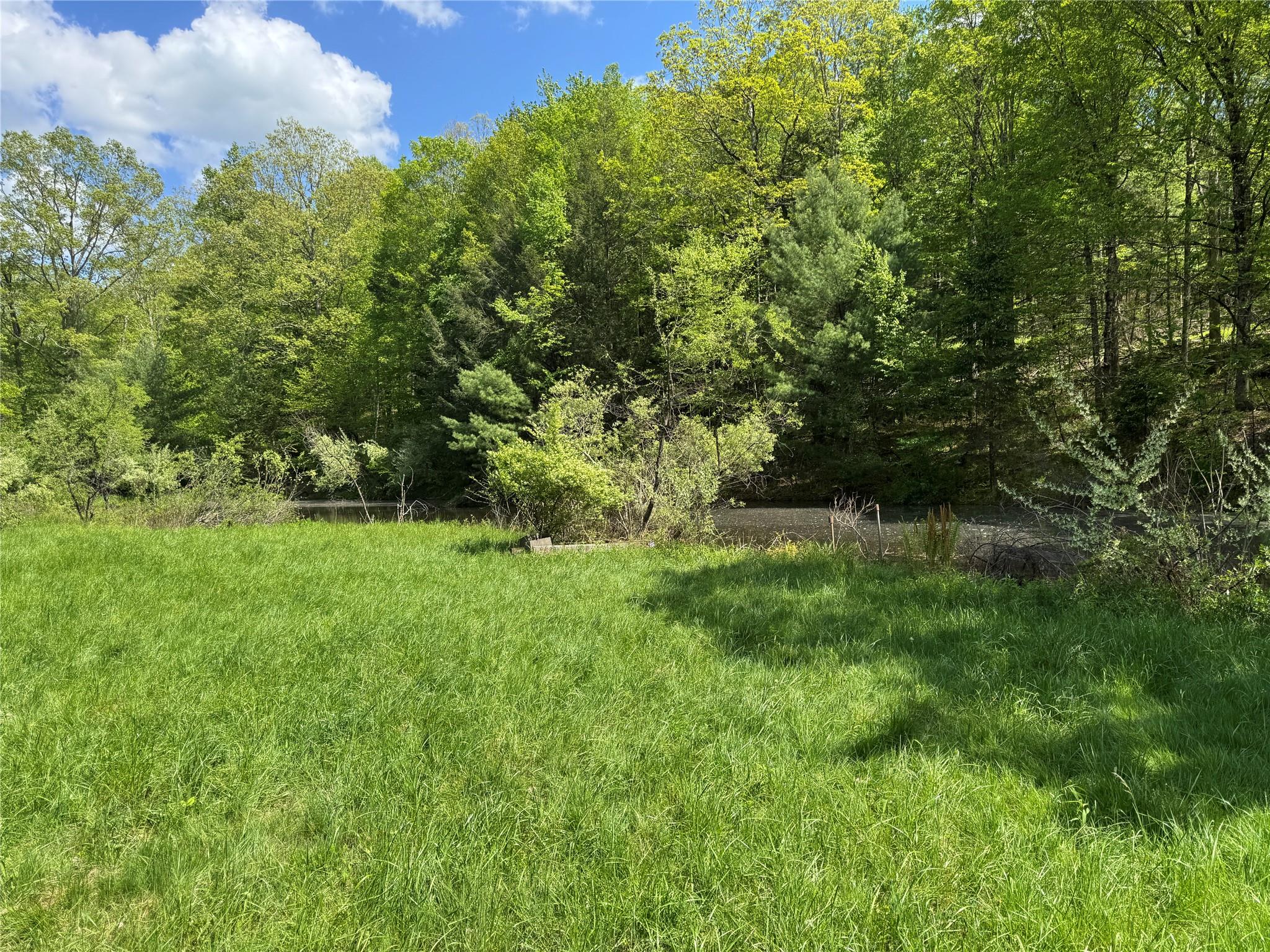 632 New Turnpike Road, Cochecton, New York image 12