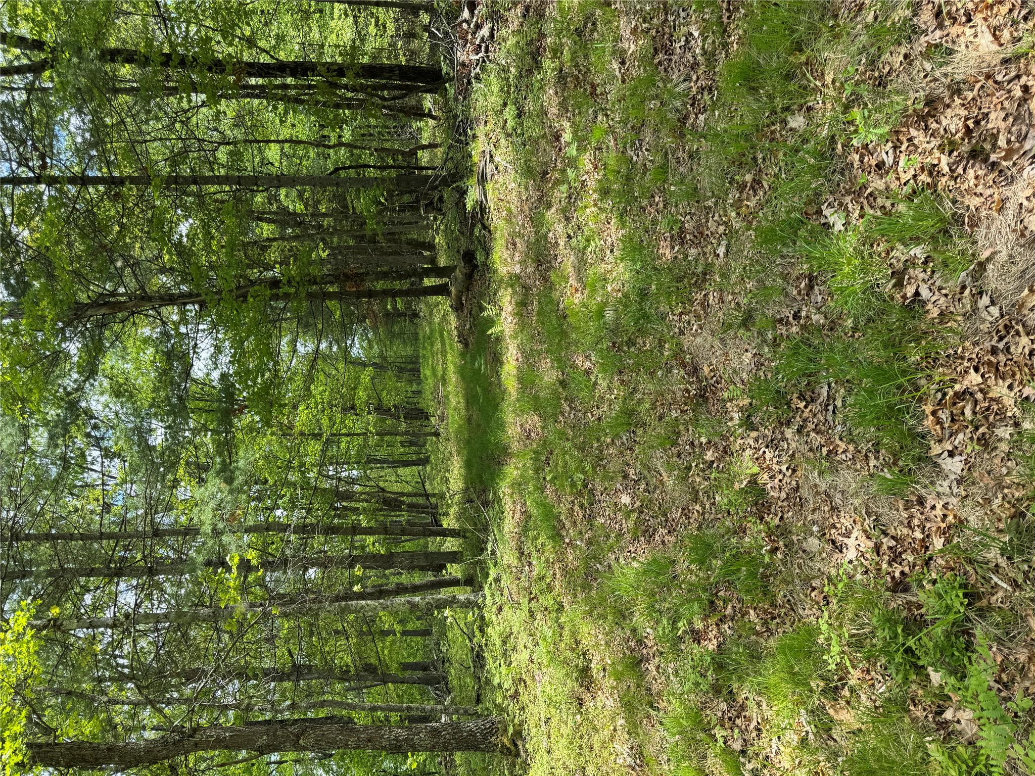 632 New Turnpike Road, Cochecton, New York image 20