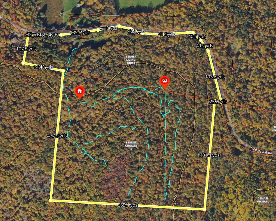 632 New Turnpike Road, Cochecton, New York image 9