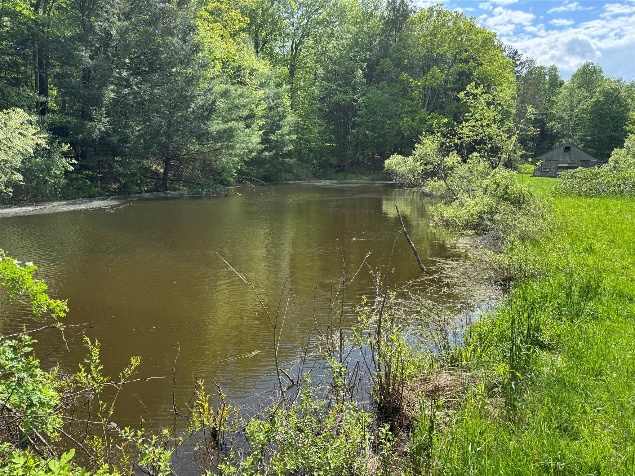 632 New Turnpike Road, Cochecton, New York image 14