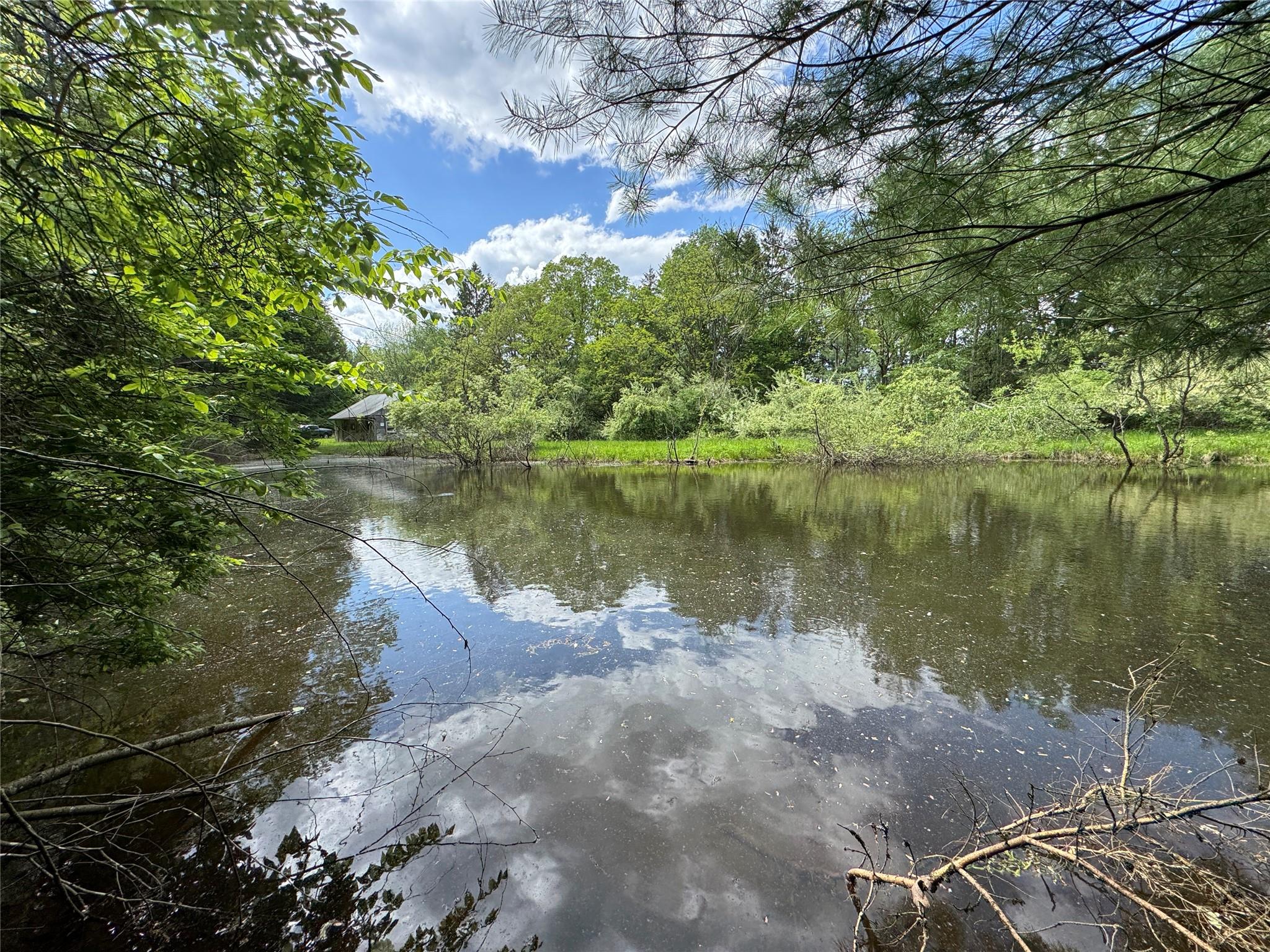 632 New Turnpike Road, Cochecton, New York image 13