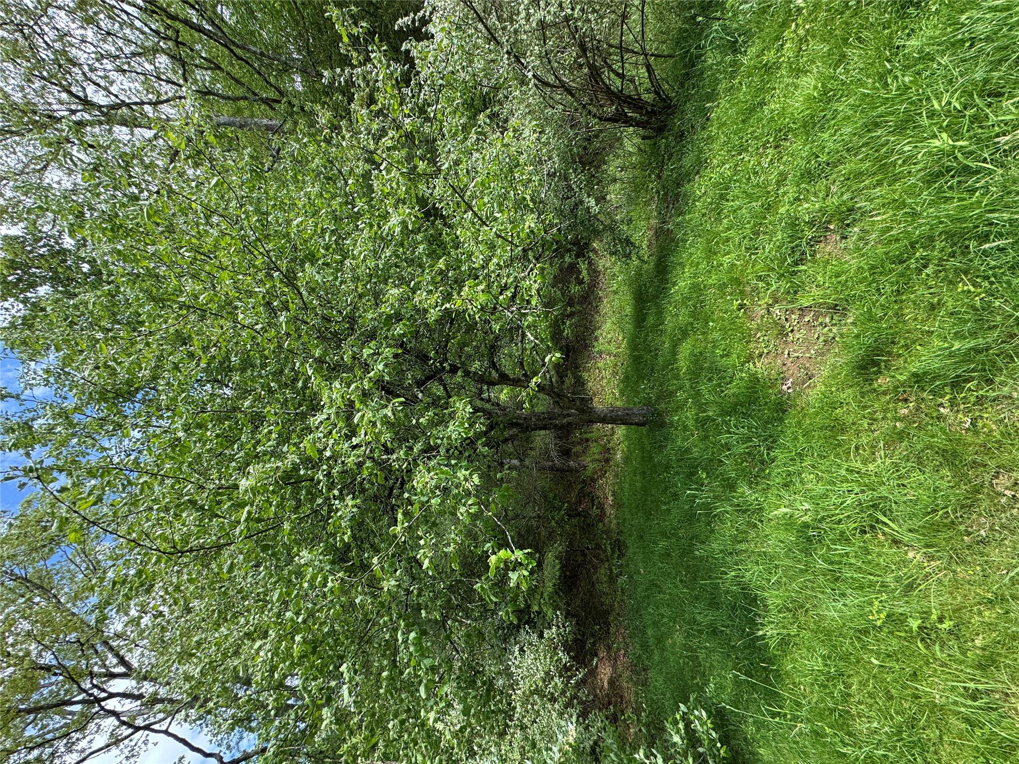 632 New Turnpike Road, Cochecton, New York image 15