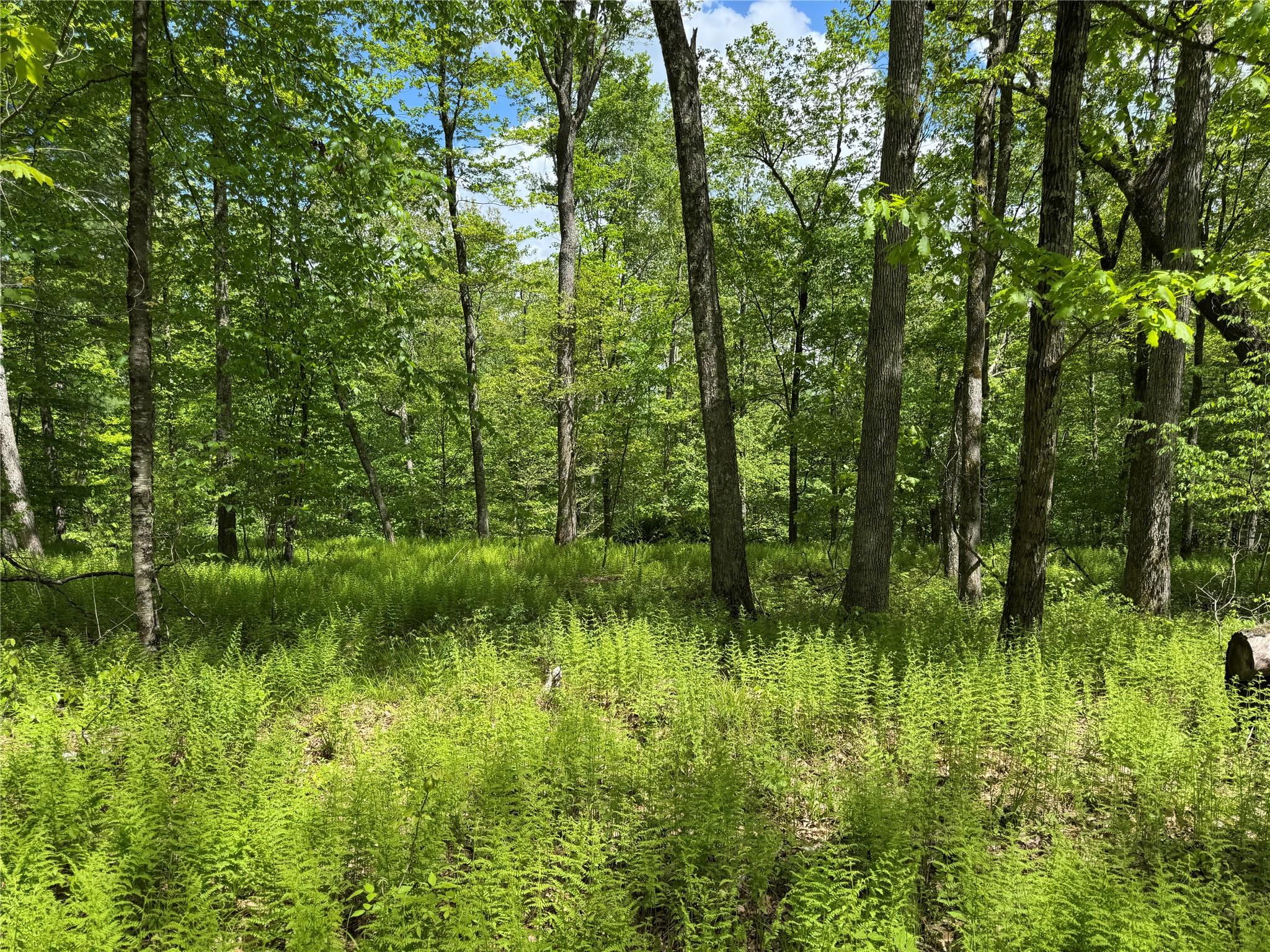 632 New Turnpike Road, Cochecton, New York image 21