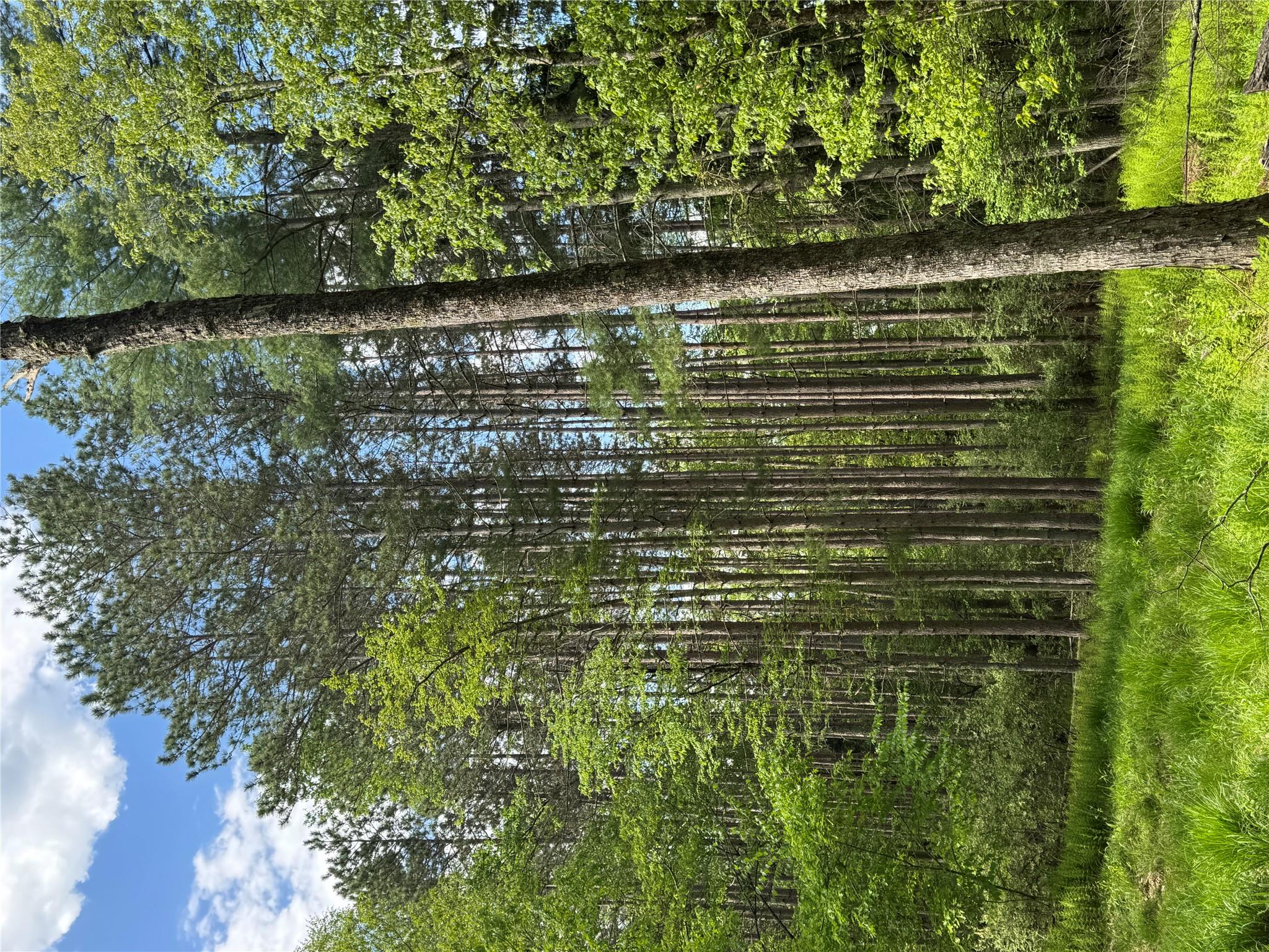 632 New Turnpike Road, Cochecton, New York image 24