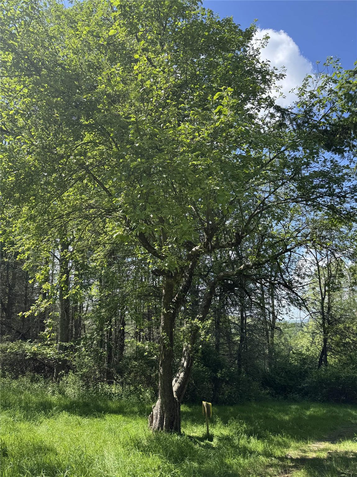 632 New Turnpike Road, Cochecton, New York image 16