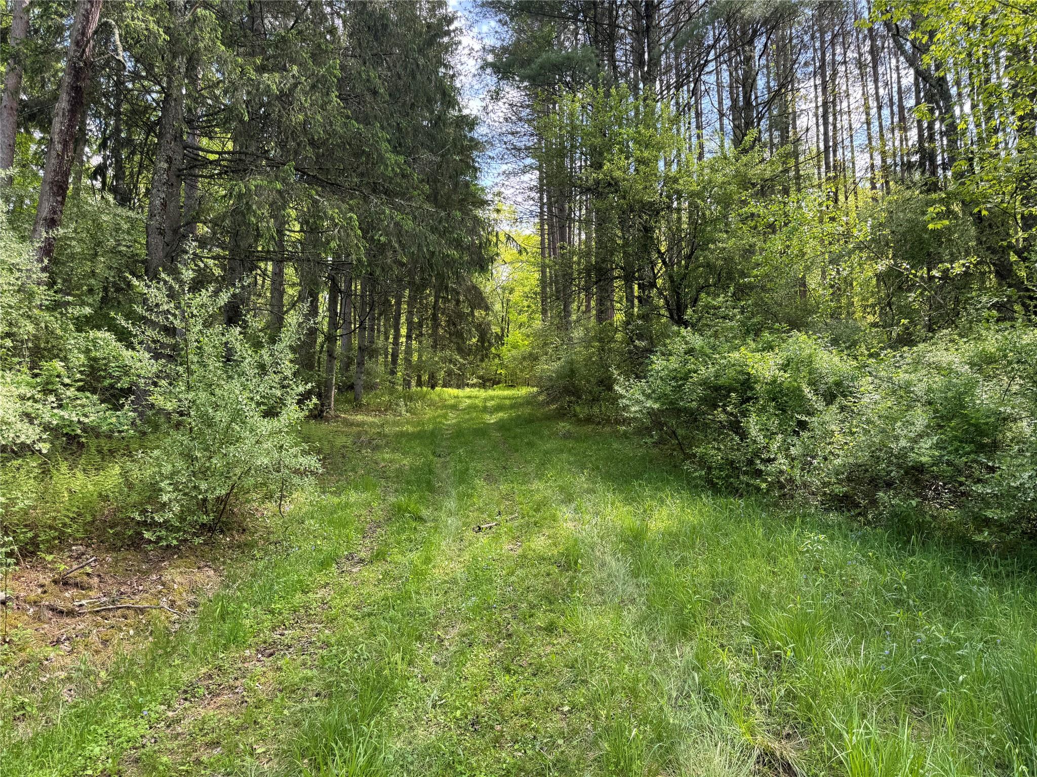 632 New Turnpike Road, Cochecton, New York image 2