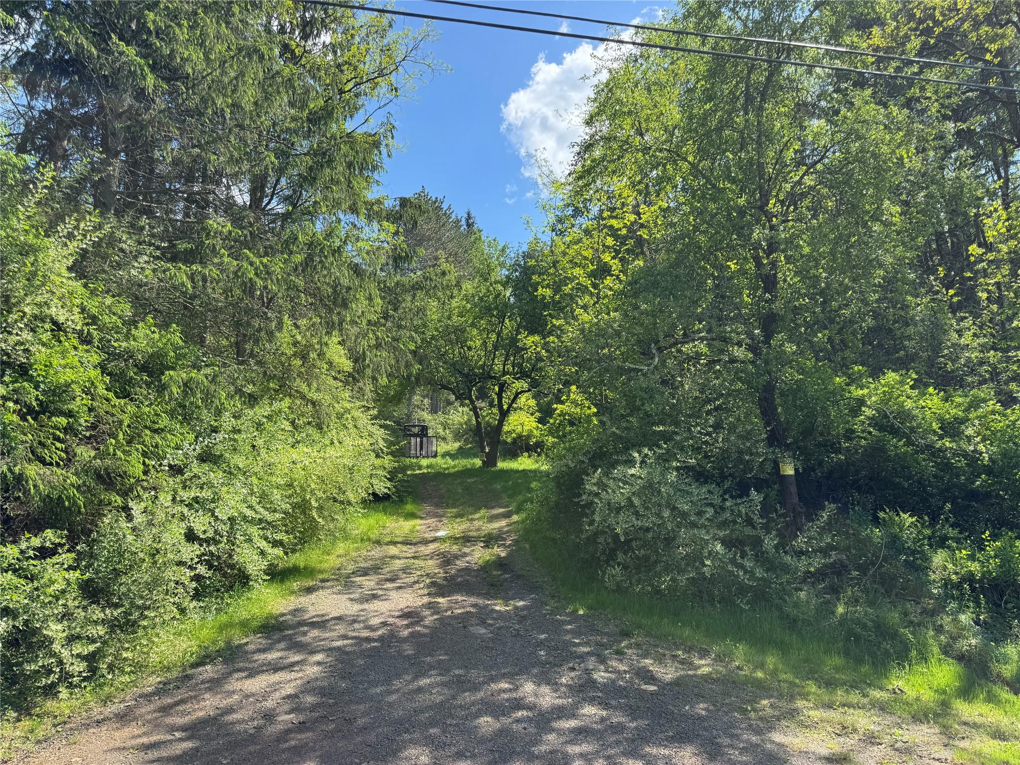632 New Turnpike Road, Cochecton, New York image 5
