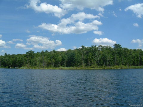 Vacant Land For Sale - Browning Boulevard<br/> Barryville, NY 12719