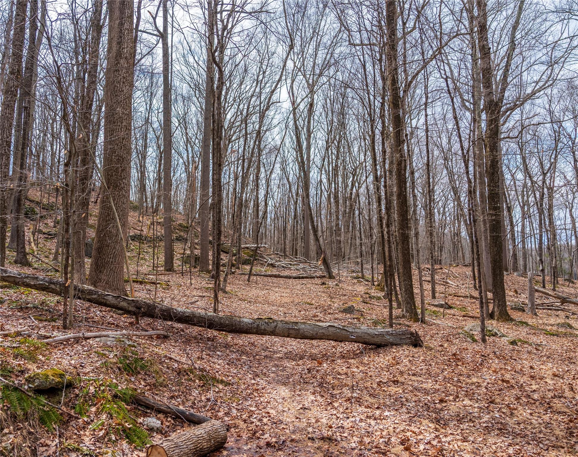22 Joshua Hobby Lane, Pound Ridge, New York image 8