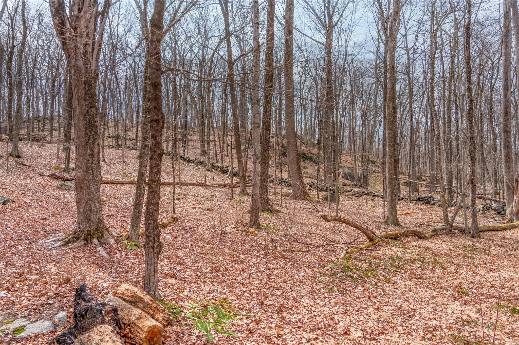 22 Joshua Hobby Lane, Pound Ridge, New York image 4