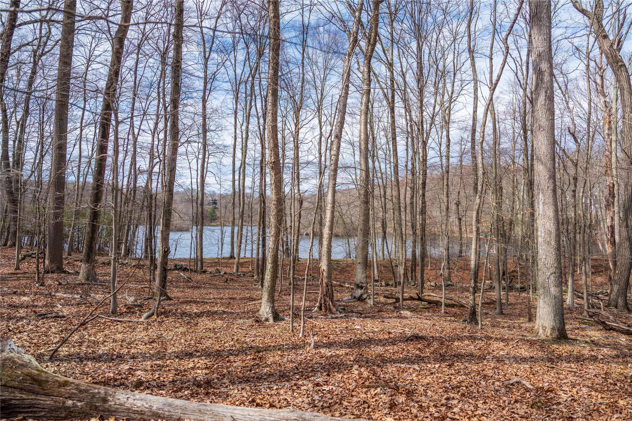 22 Joshua Hobby Lane, Pound Ridge, New York image 15