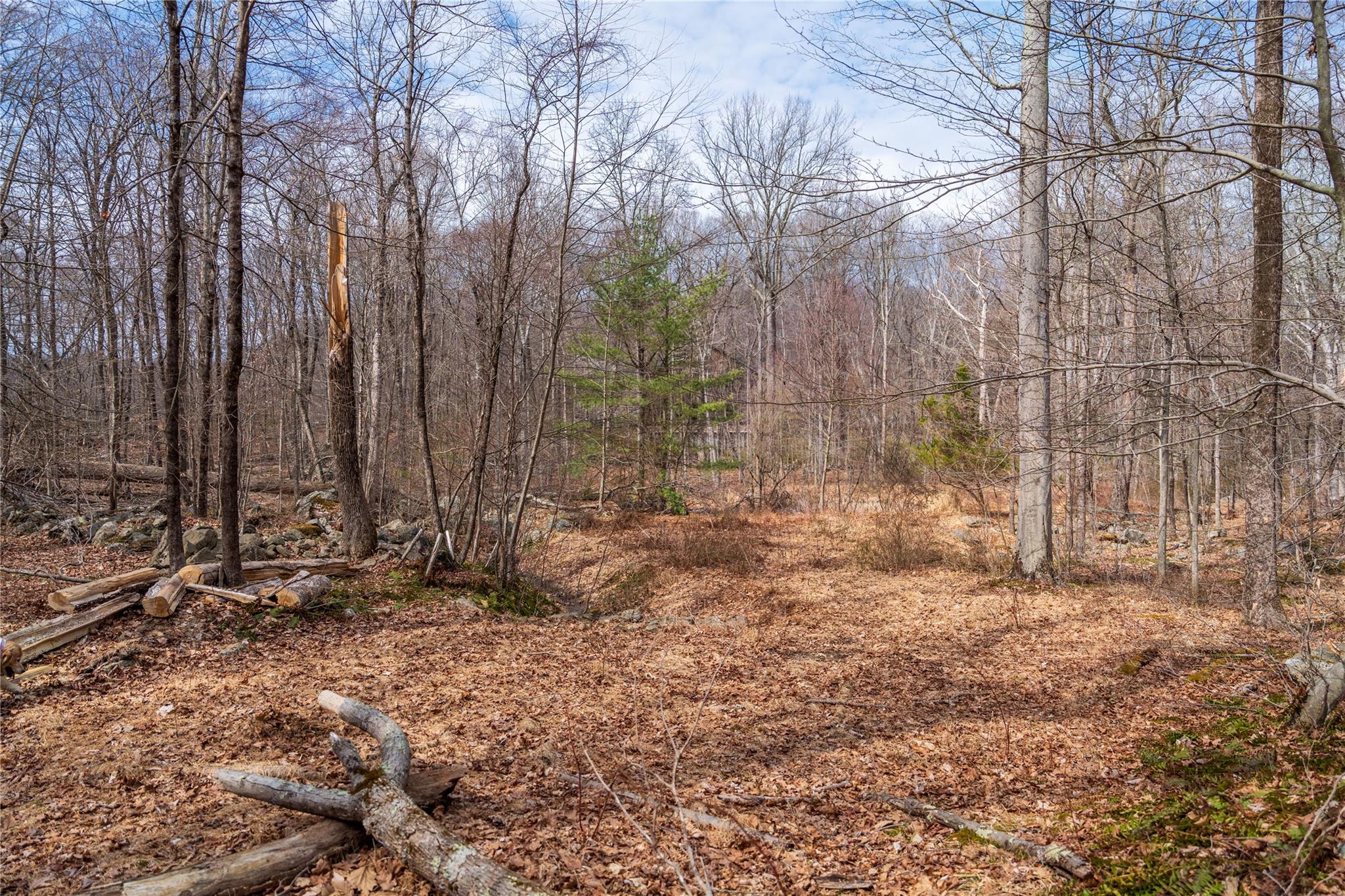 22 Joshua Hobby Lane, Pound Ridge, New York image 11
