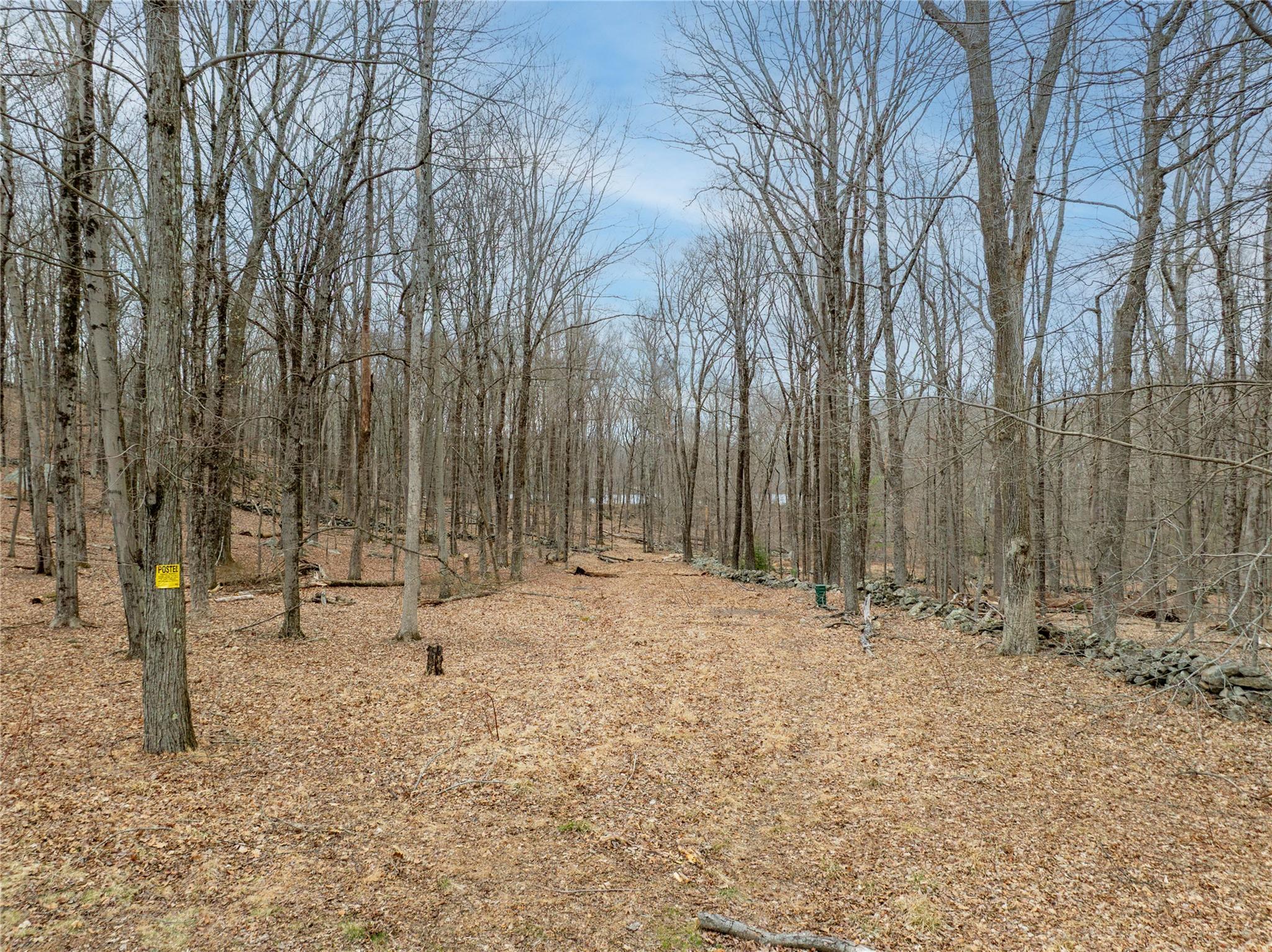 22 Joshua Hobby Lane, Pound Ridge, New York image 2