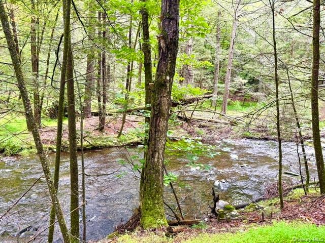Lot 9 Black Forest Road