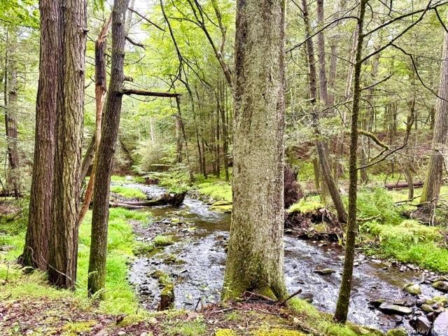Lot 9 Black Forest Road