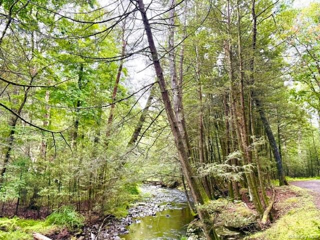 Lot 9 Black Forest Road