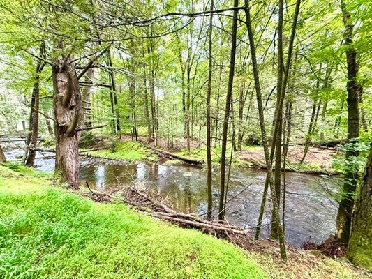 LOT 9 BLACK FOREST ROAD, GLEN SPEY, NY 12737 - Image 7bf7a29bcc27e96bb953cc4adf4b9057/4164871091