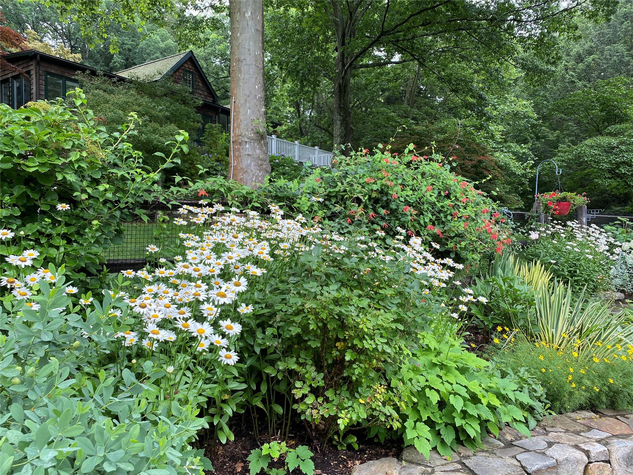 North Salem, New York 10560, United States, 3 Bedrooms Bedrooms, ,3 BathroomsBathrooms,Residential,Active,95276