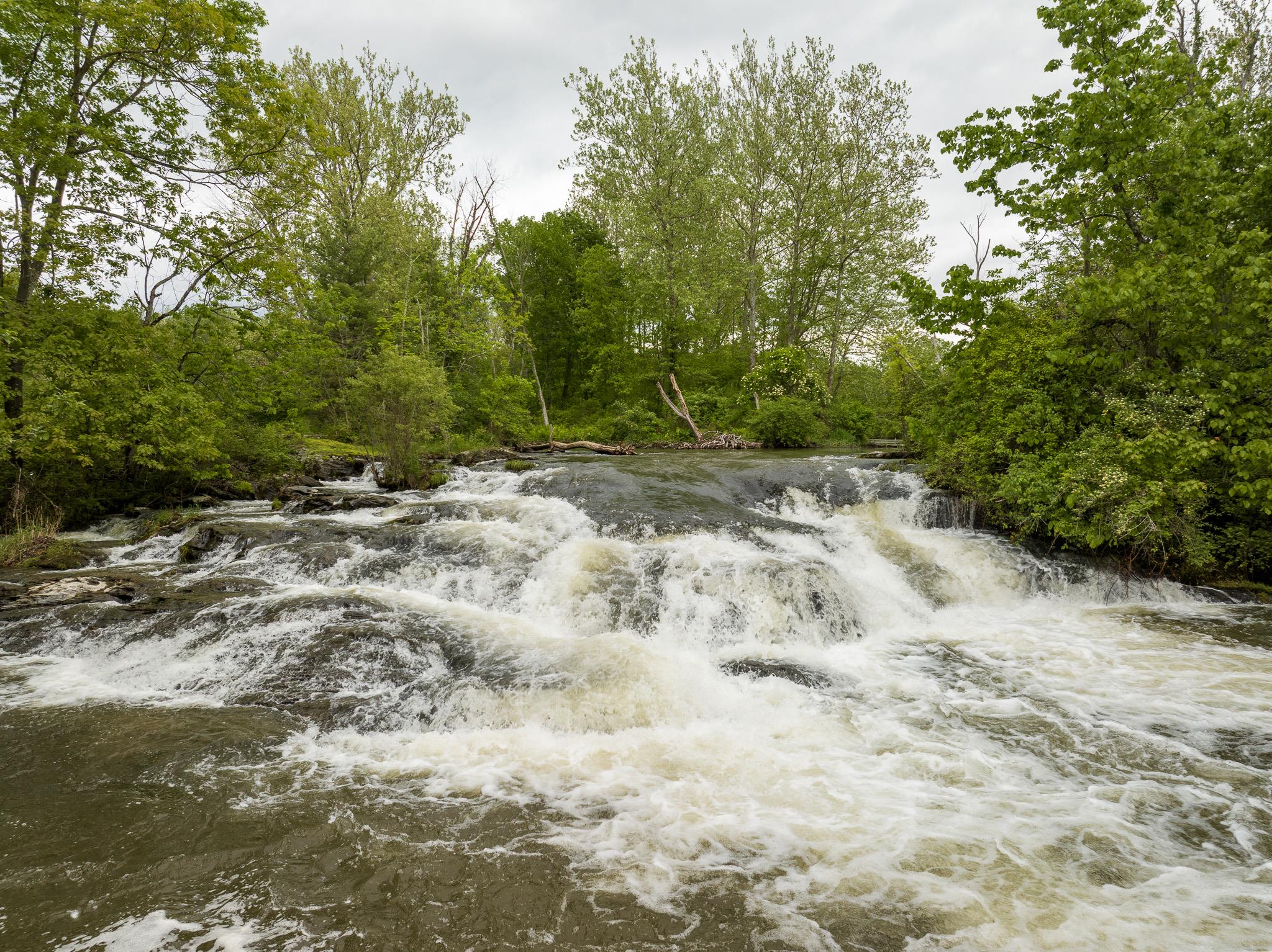 1705 Cty Rt 19, Elizaville, New York image 38