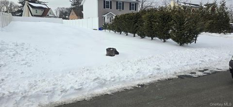 Vacant Land For Sale - 20 Chestnut Street<br/> Wyandanch, NY 11798